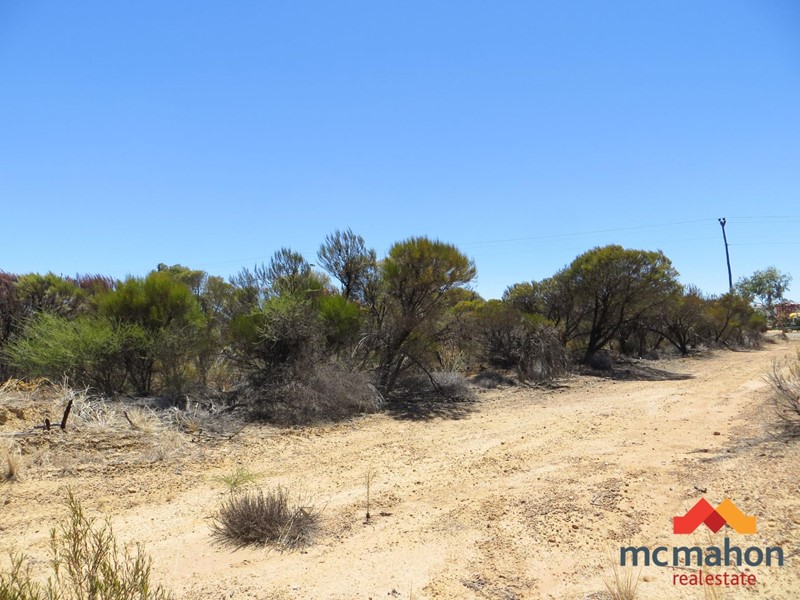Property for sale in Wongan Hills : McMahon Real Estate