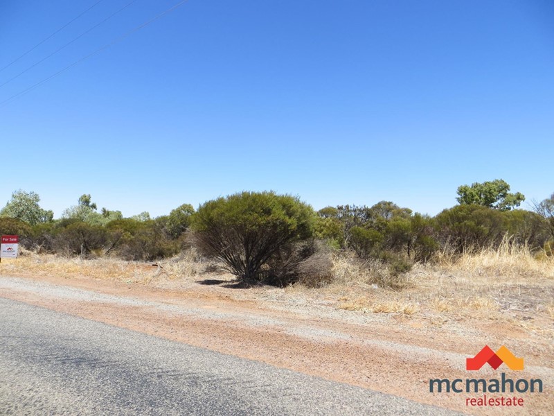 Property for sale in Wongan Hills : McMahon Real Estate