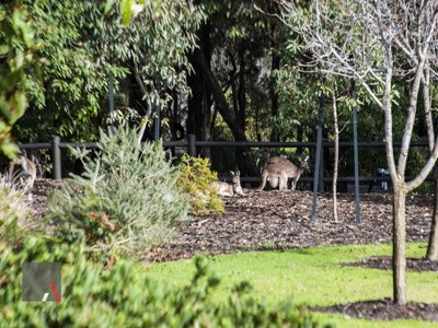 Property for sale in The Vines : Abel Property