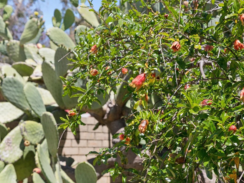 Property for sale in Midland : Passmore Real Estate