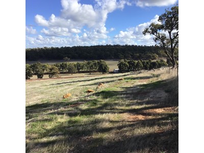 Property for sale in Wundowie : Southside Realty