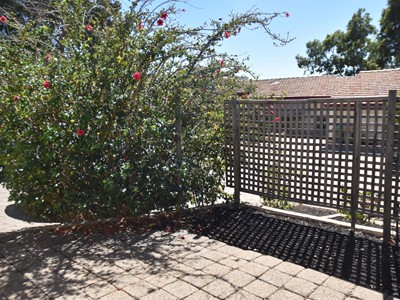 Property for rent in Melville : Jacky Ladbrook Real Estate