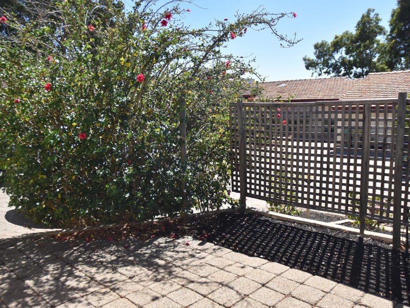 Property for rent in Melville : Jacky Ladbrook Real Estate