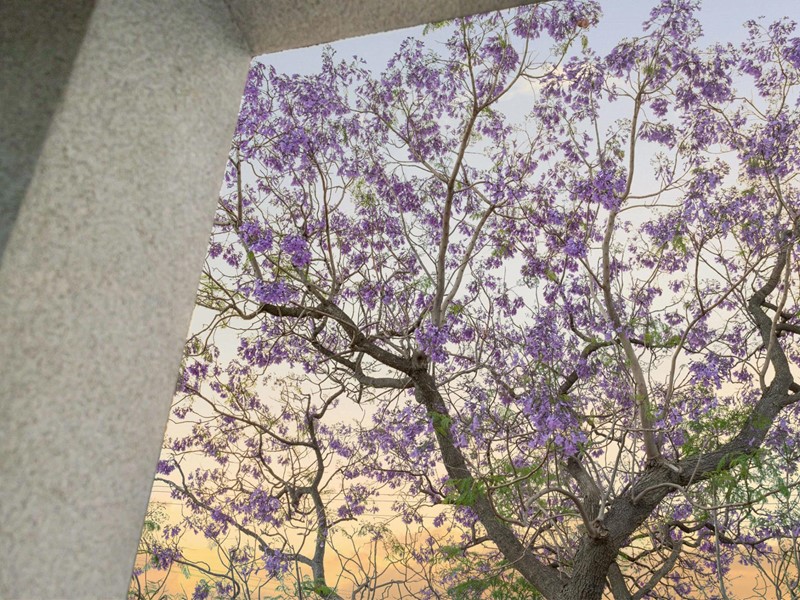 Property for sale in Tuart Hill : Passmore Real Estate