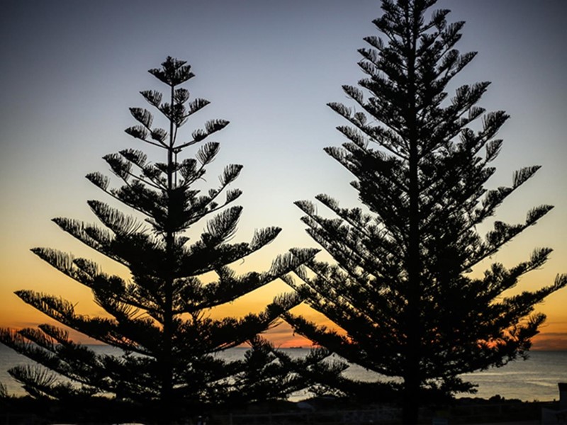 Property for sale in Scarborough : West Coast Real Estate