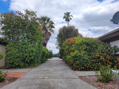 Property for rent in Maylands : BOSS Real Estate