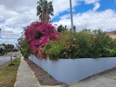 Property for rent in Maylands : BOSS Real Estate