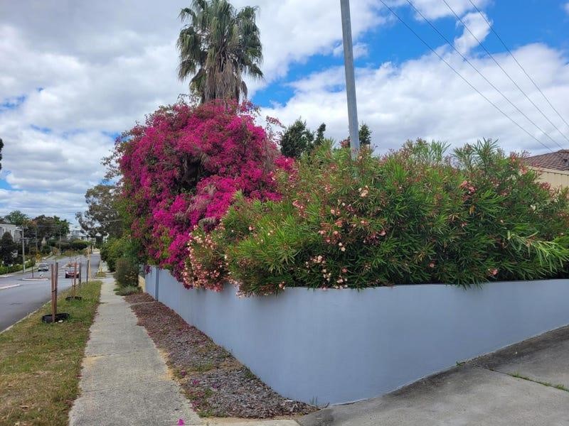 Property for rent in Maylands : BOSS Real Estate