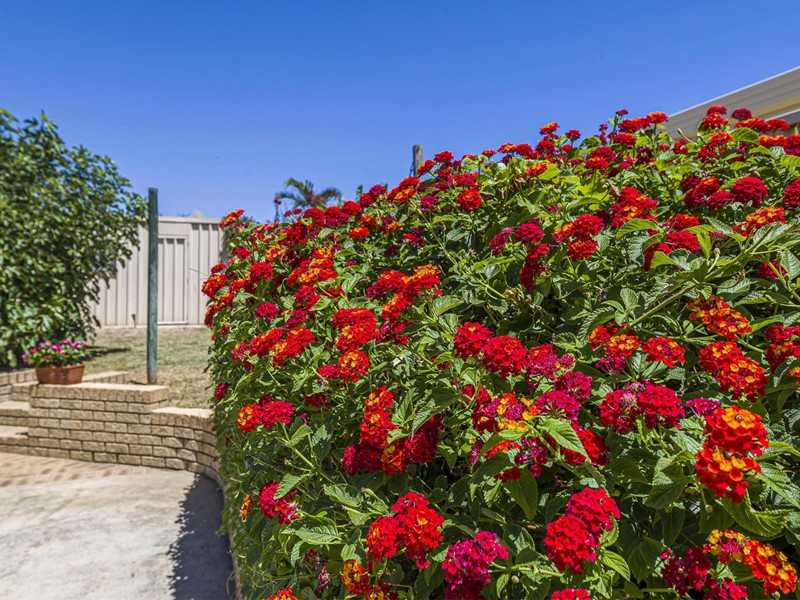 Property for sale in Dianella : Passmore Real Estate