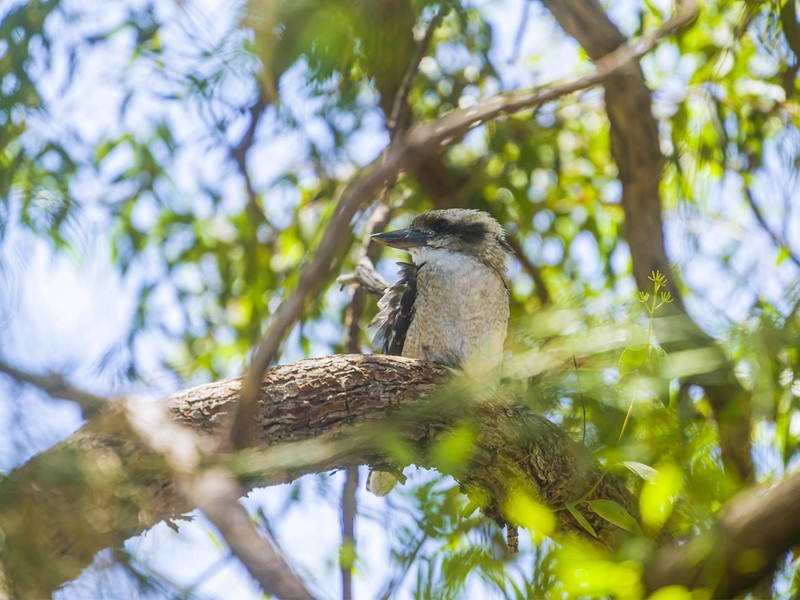 Property for sale in Dianella : Passmore Real Estate