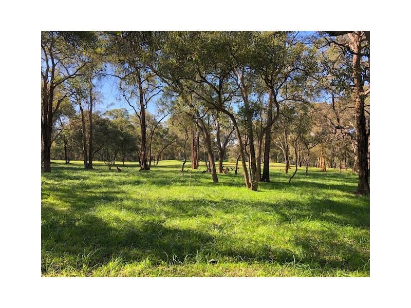 Property for sale in The Vines : Passmore Real Estate