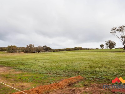 Property for sale in Narrogin : McMahon Real Estate