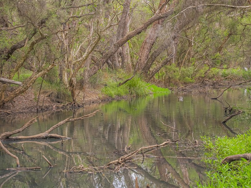 Property for sale in Maddington : Porter Matthews Metro Real Estate