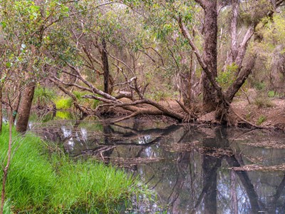 Property for sale in Maddington : Porter Matthews Metro Real Estate