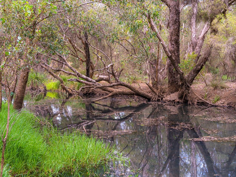 Property for sale in Maddington : Porter Matthews Metro Real Estate